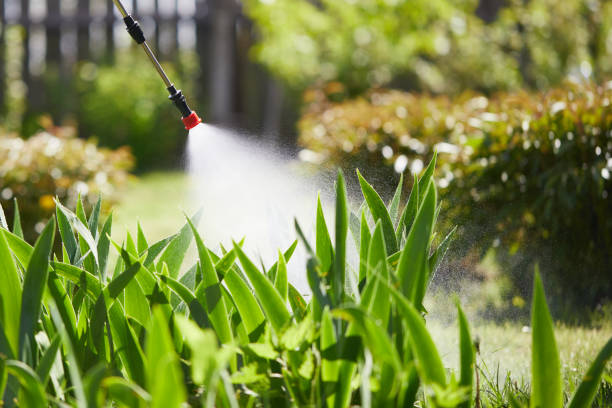 Tamper-Resistant Bait Stations for Rodents in Euharlee