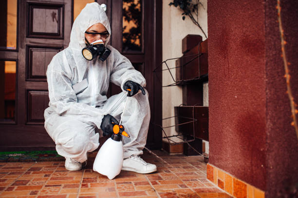 Attic and Crawl Space Rodent Treatment in Euharlee