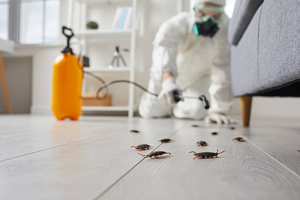 Commercial Rodent Management in Euharlee